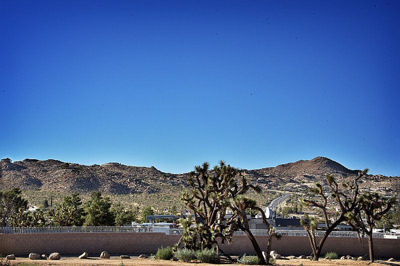 dentist in Yucca Valley