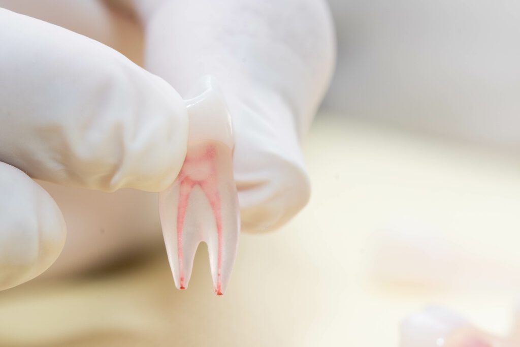 microsurgery dentist Joshua Tree